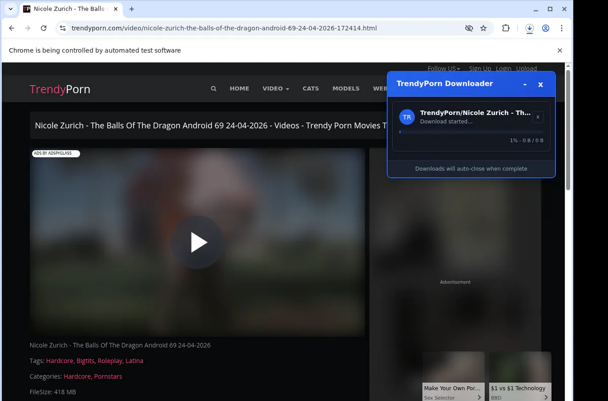 Trendyporn Video Downloader screenshot 2