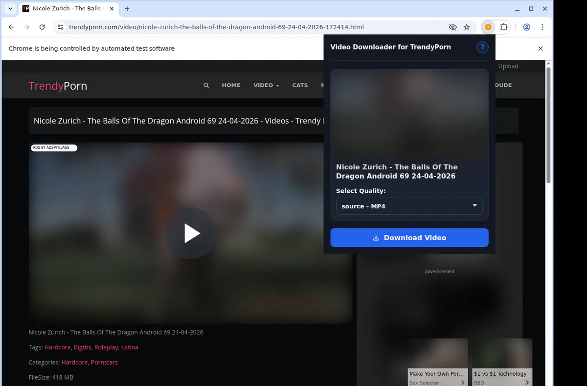 Trendyporn Video Downloader screenshot 3